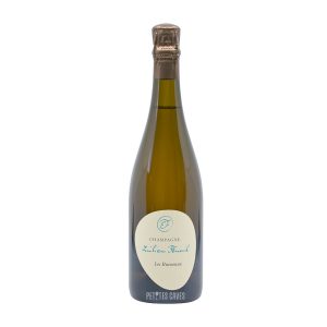 1er cru Les Ruisseaux 2020 | Emilien Feneuil pas cher
