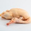 Canard gras entier du Sud Ouest Avec Foie